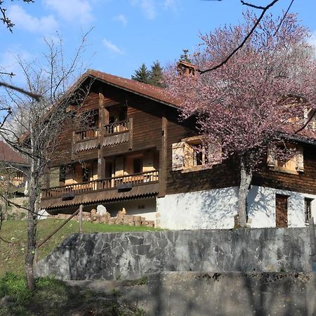 Вилла Sous Les Ecotagnes Les Villards-sur-Thones Экстерьер фото