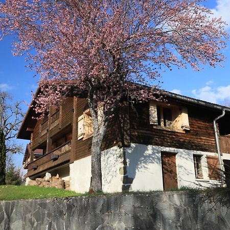 Вилла Sous Les Ecotagnes Les Villards-sur-Thones Экстерьер фото