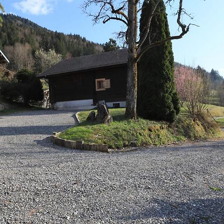 Вилла Sous Les Ecotagnes Les Villards-sur-Thones Экстерьер фото