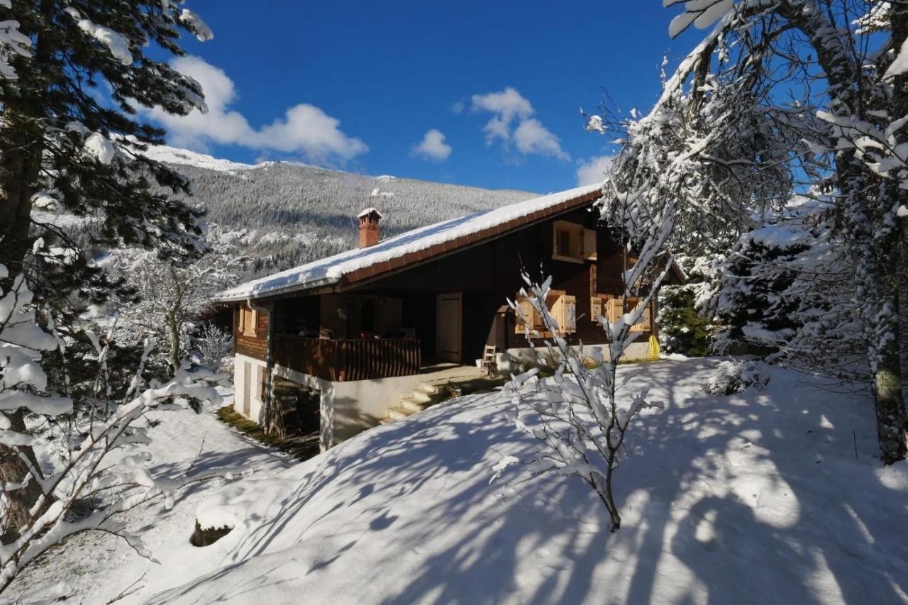 Вилла Sous Les Ecotagnes Les Villards-sur-Thones Экстерьер фото