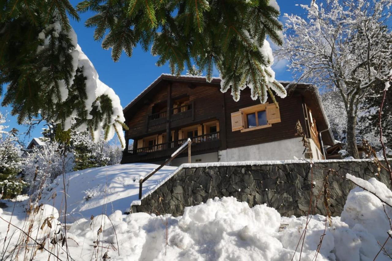 Вилла Sous Les Ecotagnes Les Villards-sur-Thones Экстерьер фото
