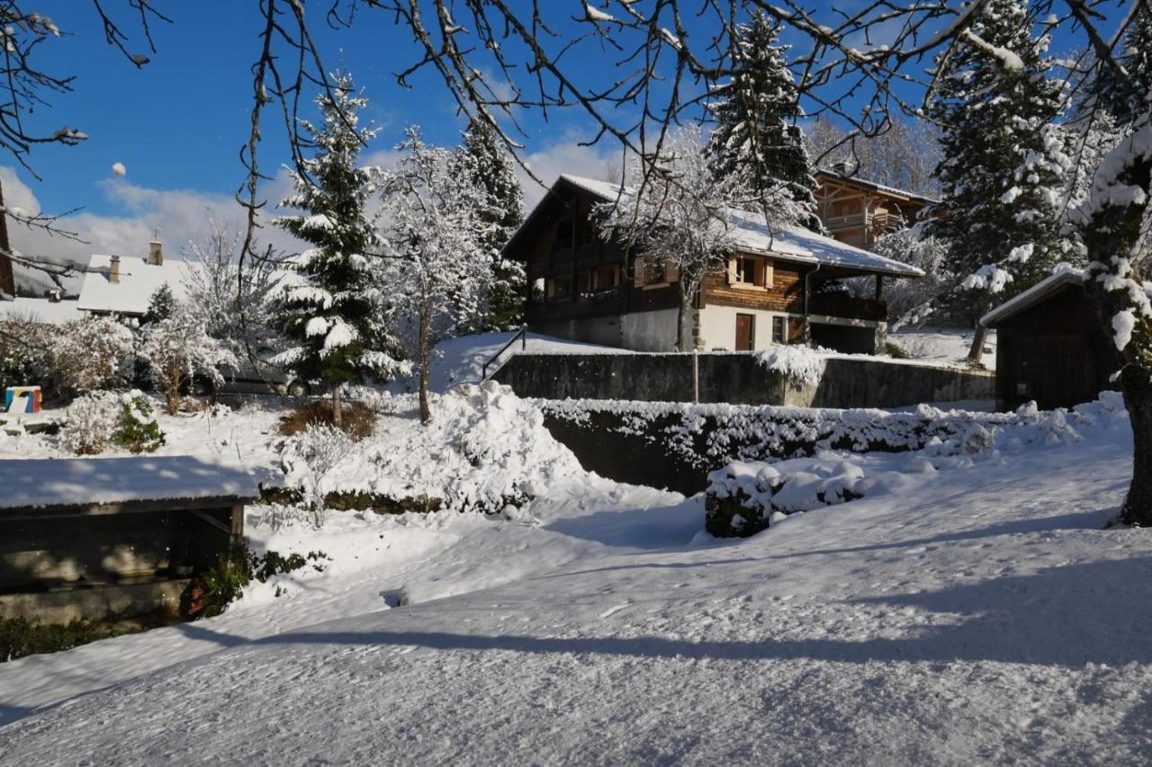Вилла Sous Les Ecotagnes Les Villards-sur-Thones Экстерьер фото