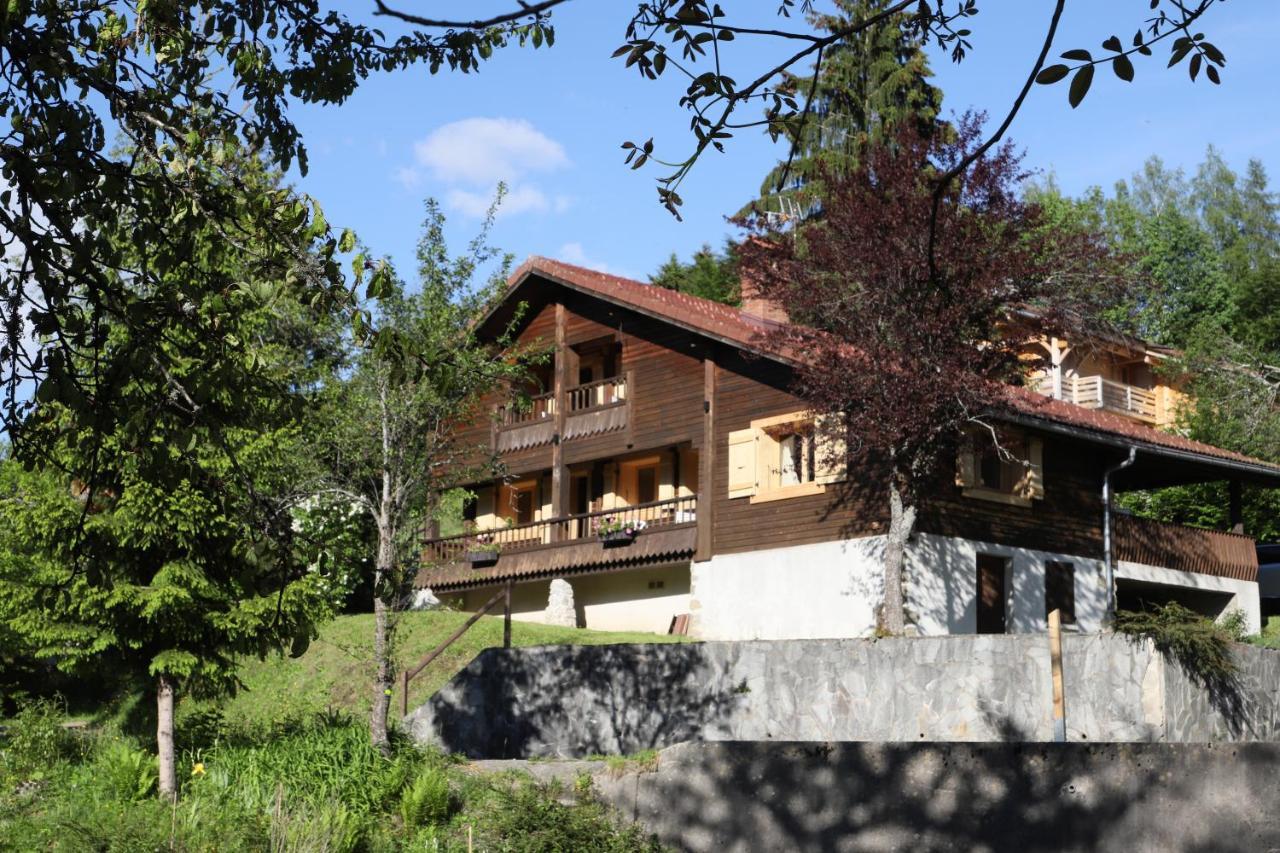 Вилла Sous Les Ecotagnes Les Villards-sur-Thones Экстерьер фото