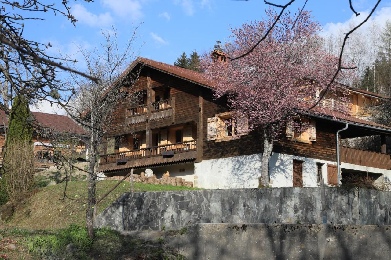 Вилла Sous Les Ecotagnes Les Villards-sur-Thones Экстерьер фото