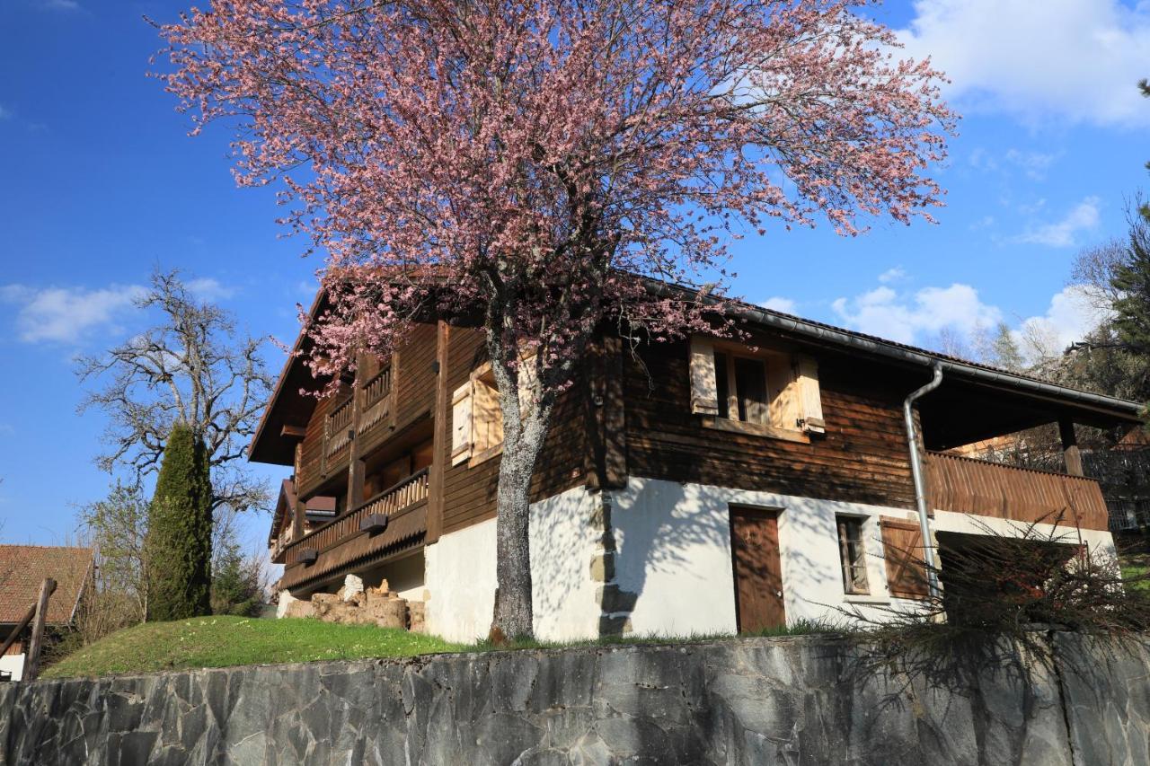 Вилла Sous Les Ecotagnes Les Villards-sur-Thones Экстерьер фото